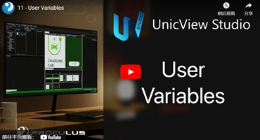 11 - User Variables